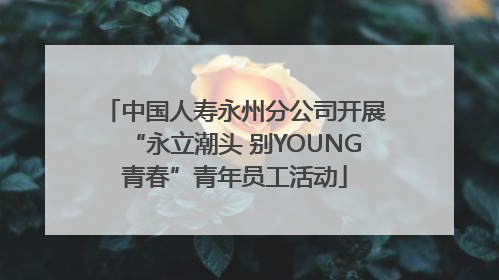 中国人寿永州分公司开展“永立潮头 别YOUNG青春”青年员工活动